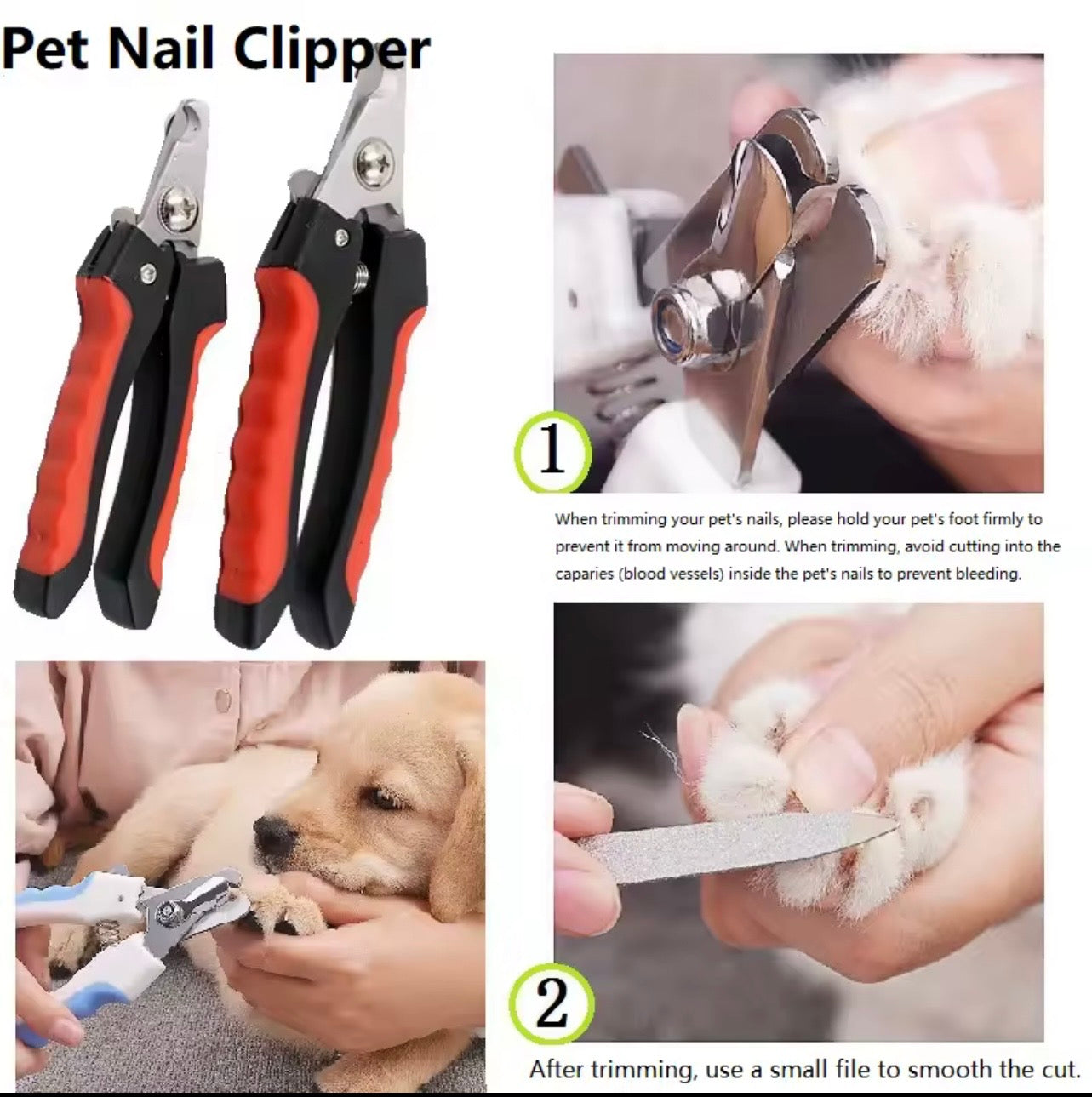 🐾 Pet Nail Clippers – Safe Cat & Dog Nail Trimmer Scissors for Small to Large Pets