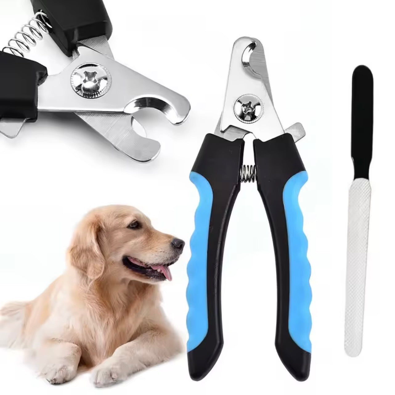 🐾 Pet Nail Clippers – Safe Cat & Dog Nail Trimmer Scissors for Small to Large Pets