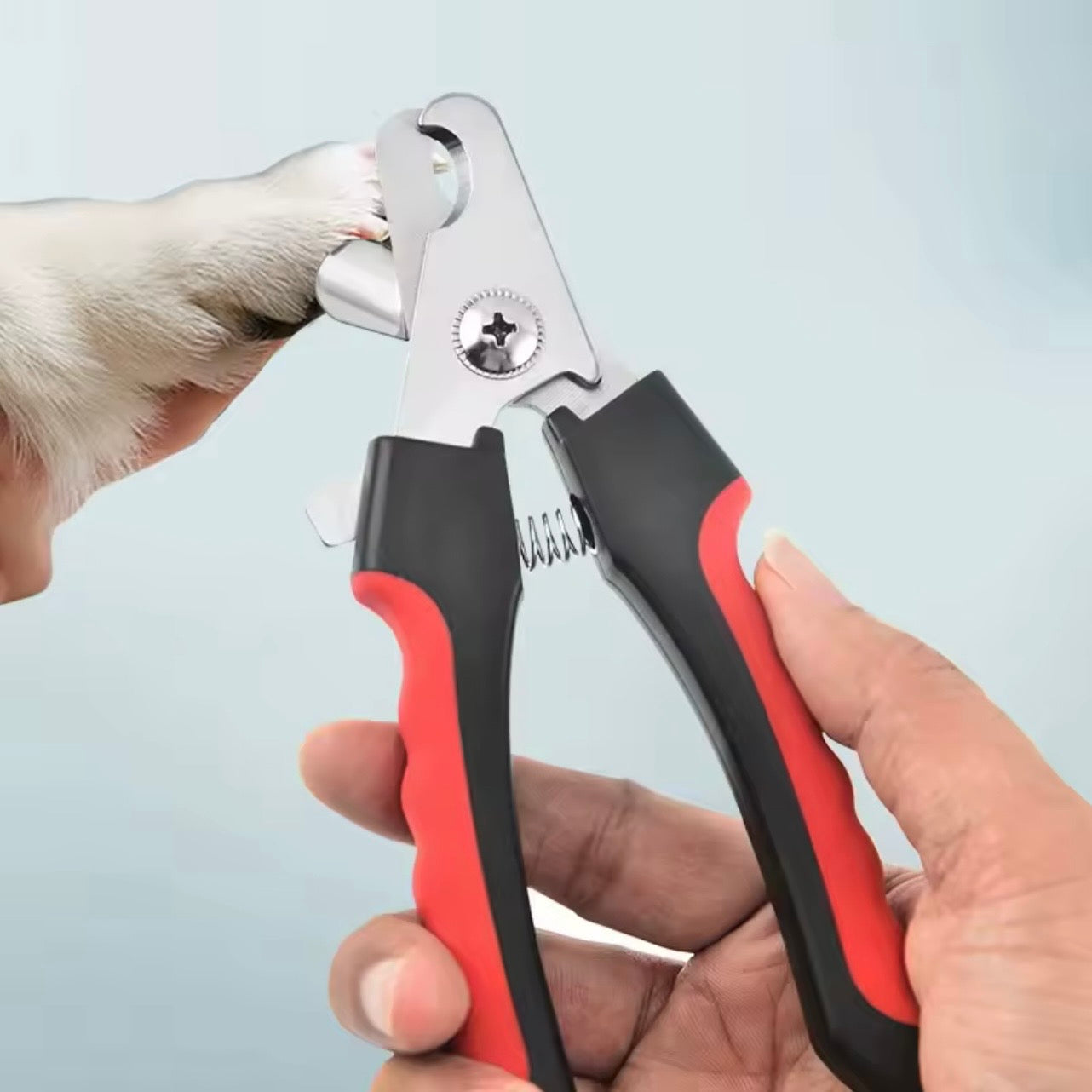 🐾 Pet Nail Clippers – Safe Cat & Dog Nail Trimmer Scissors for Small to Large Pets