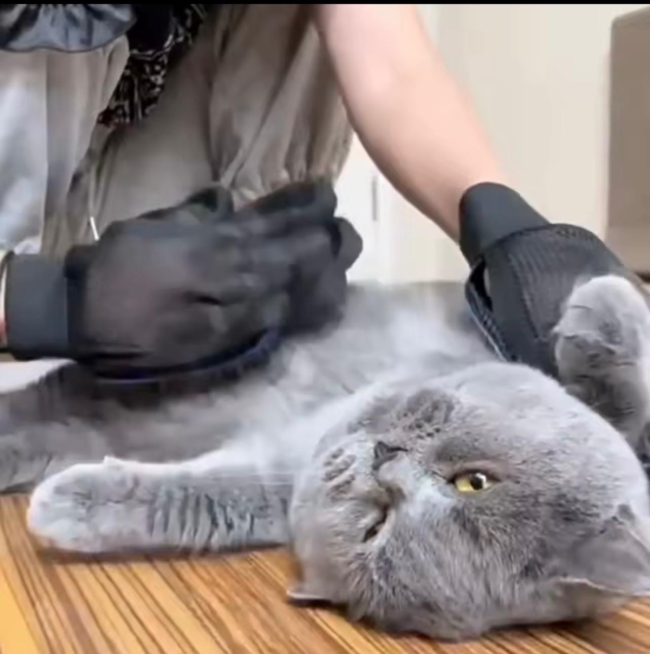 Pawsly Pet Grooming Glove