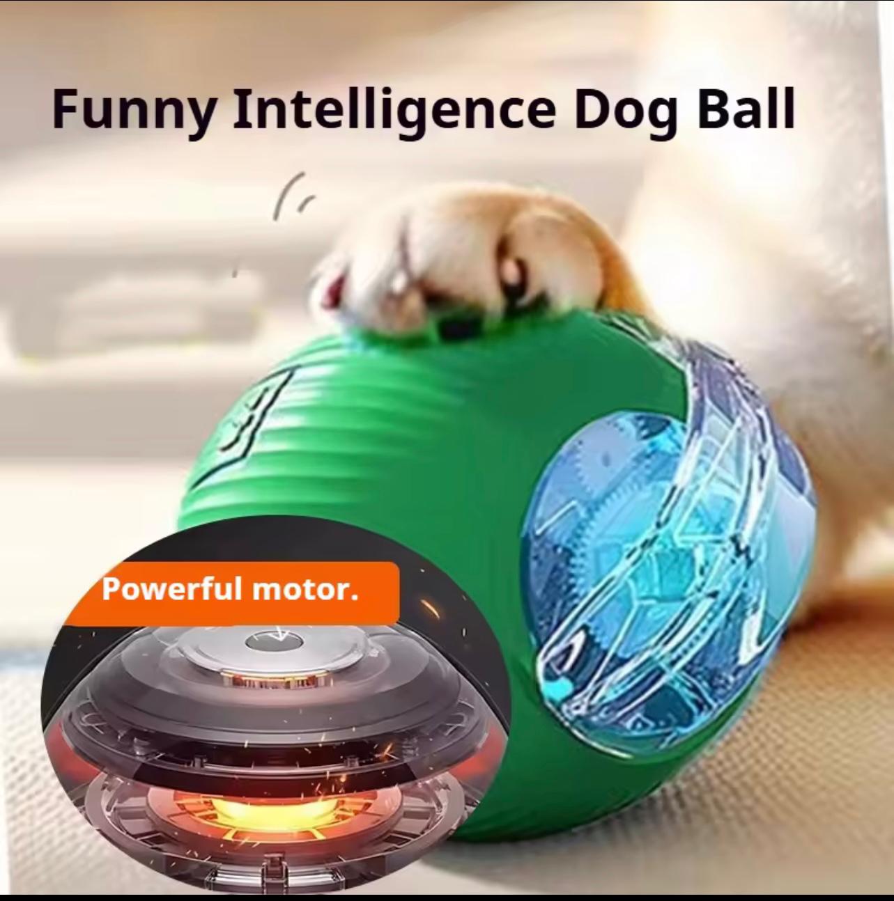 Automatic Smart Rolling Dog Ball Toy – Rechargeable Interactive Puppy Exercise Toy