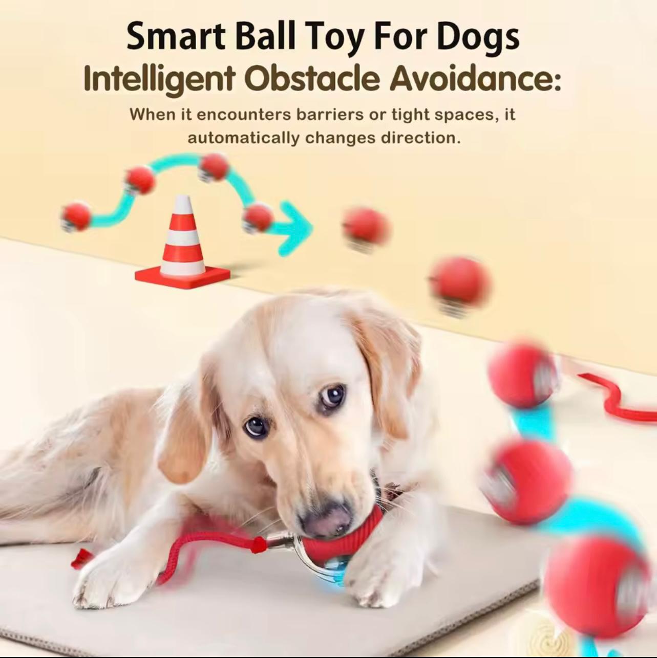 Automatic Smart Rolling Dog Ball Toy – Rechargeable Interactive Puppy Exercise Toy