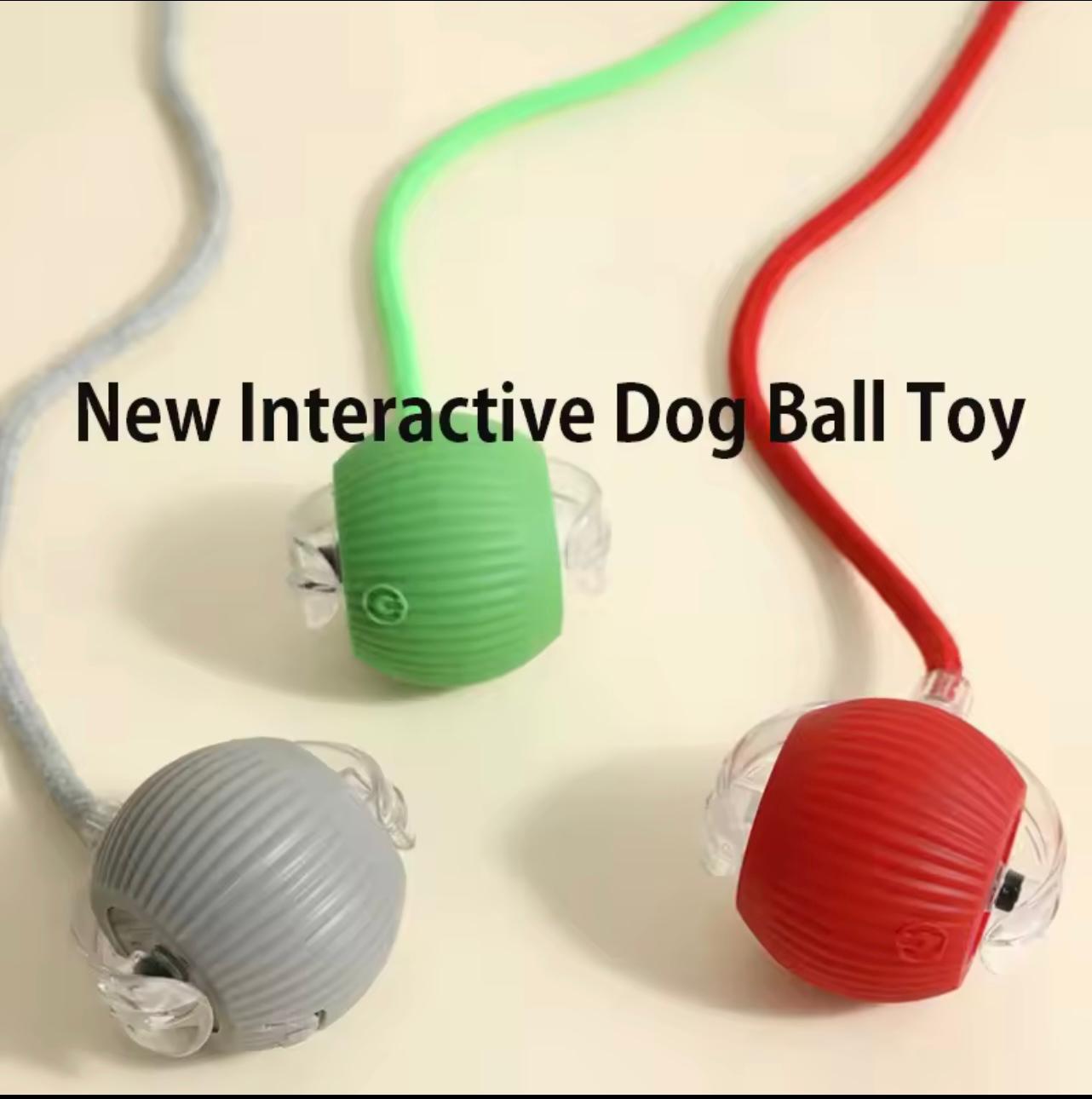 Automatic Smart Rolling Dog Ball Toy – Rechargeable Interactive Puppy Exercise Toy