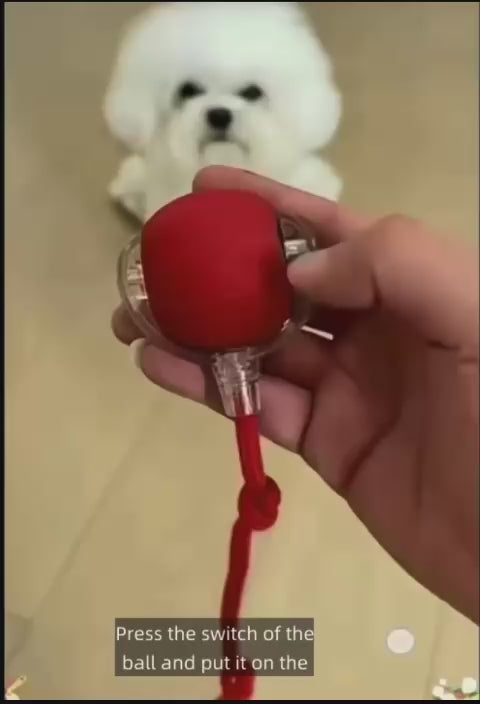 Automatic Smart Rolling Dog Ball Toy – Rechargeable Interactive Puppy Exercise Toy